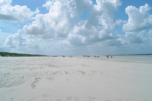  Ameland 2005 - Tag 11