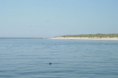 DSCN0377-01