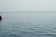 DSCN0387-01