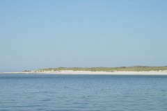 DSCN0396-01