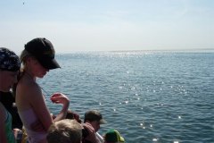 DSCN0402-01