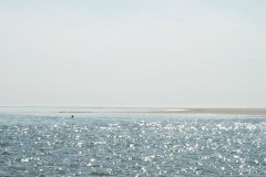DSCN0405-01