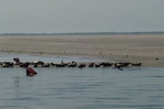 DSCN0411-01