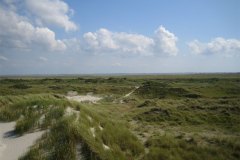 IMG_1341-01