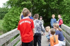 DSCN0213-01
