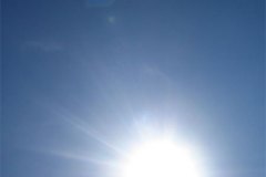 IMG_0990-01