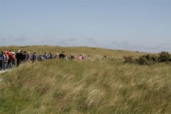 IMG_4447-01