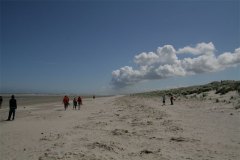 IMG_4488-01