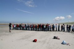 IMG_4534-01