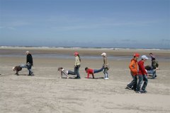 IMG_4549-01