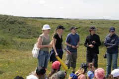 IMG_4600-01