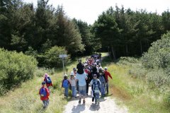 IMG_4736-01