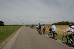 IMG_5267-01