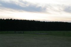 IMG_5514-01