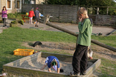 IMG_0062