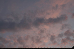 IMG_2967