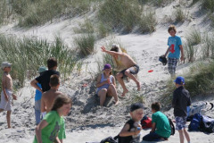 IMG_6911