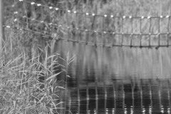 IMG_8870