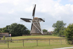 IMG_9698