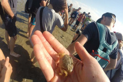 DCIM\100GOPRO