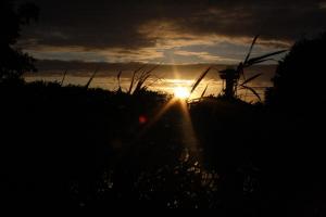 Ameland 2015 - Tag 10