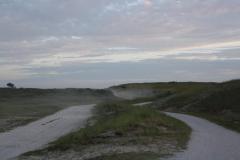 img_7336_ee6979b956