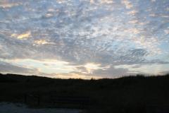 img_7338_71005690bd