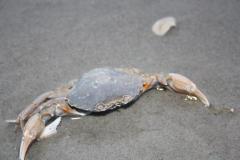 img_7451_f924b8c008