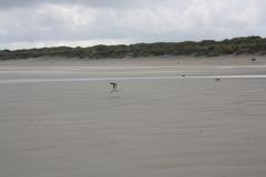 img_1036_d87971e4e3