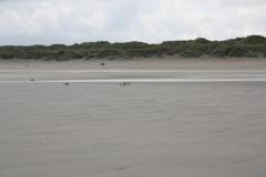 img_1037_d6dfdb7d5b