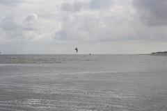 img_1043_02bb189308