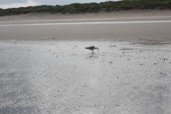 img_1046_0fd0411756