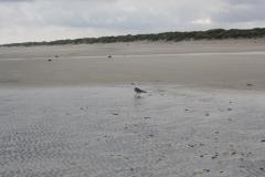 img_1048_1b0504529b