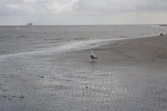 img_1049_bba6146715