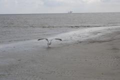 img_1050_ef578a4ff9