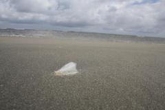 img_1060_3b2889aca1