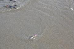 img_1078_24f4c4ffdb