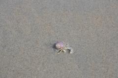 img_1082_c90e36e13e