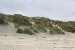 img_1105_e355fb984a