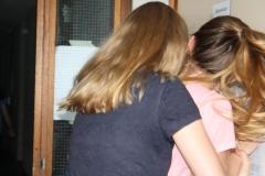 img_1266_5950616bdf