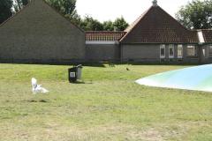img_8501_45be28420c