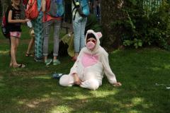 img_8595_bf93884bbf