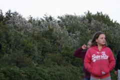 img_8777_1b99971096