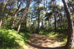 DCIM110GOPRO