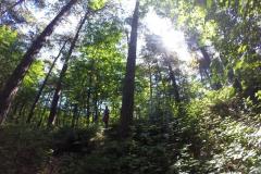 DCIM110GOPRO