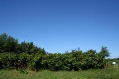 img_5914_4e66d739ee