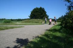 img_5936_6cf8b57b5f