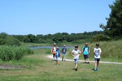 img_5943_75e98f3d81