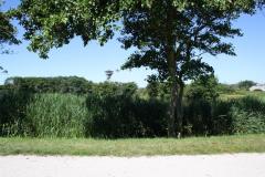 img_8877_6b9c539e5b