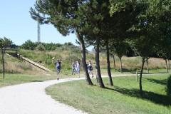 img_8879_8e79f7d703